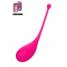 Oeuf vibrant connecté Palpitation rose - Adrien Lastic Oeuf vibrant connecté Palpitation rose - Adrien Lastic