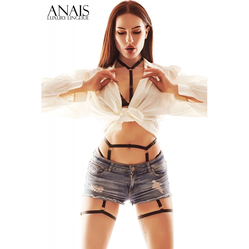 Ensemble harnais Sparkle Ensemble harnais Sparkle