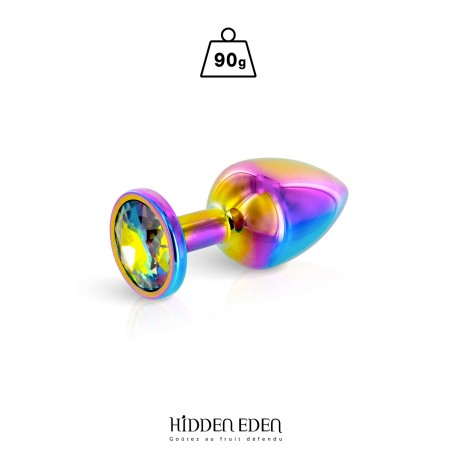 Plug bijou aluminium Rainbow M - Hidden Eden