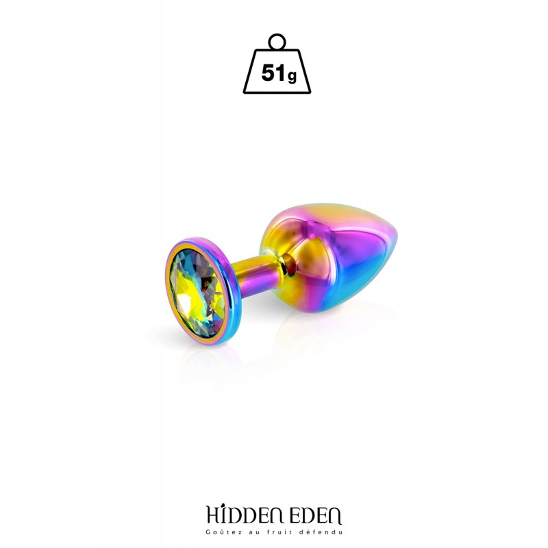 Plug bijou aluminium Rainbow S - Hidden Eden