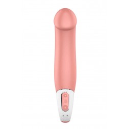 Vibromasseur Master - Satisfyer